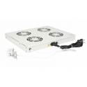 Equip Cooling Fans 19', 1U, 4FANS, RAL7035 Grey Equip Cooling Fans 19', 1U, 4FANS, RAL7035 Grey