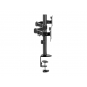 Equip 650157 monitoriaus laikiklis arba stovas 81,3 cm (32") Stalas Juoda