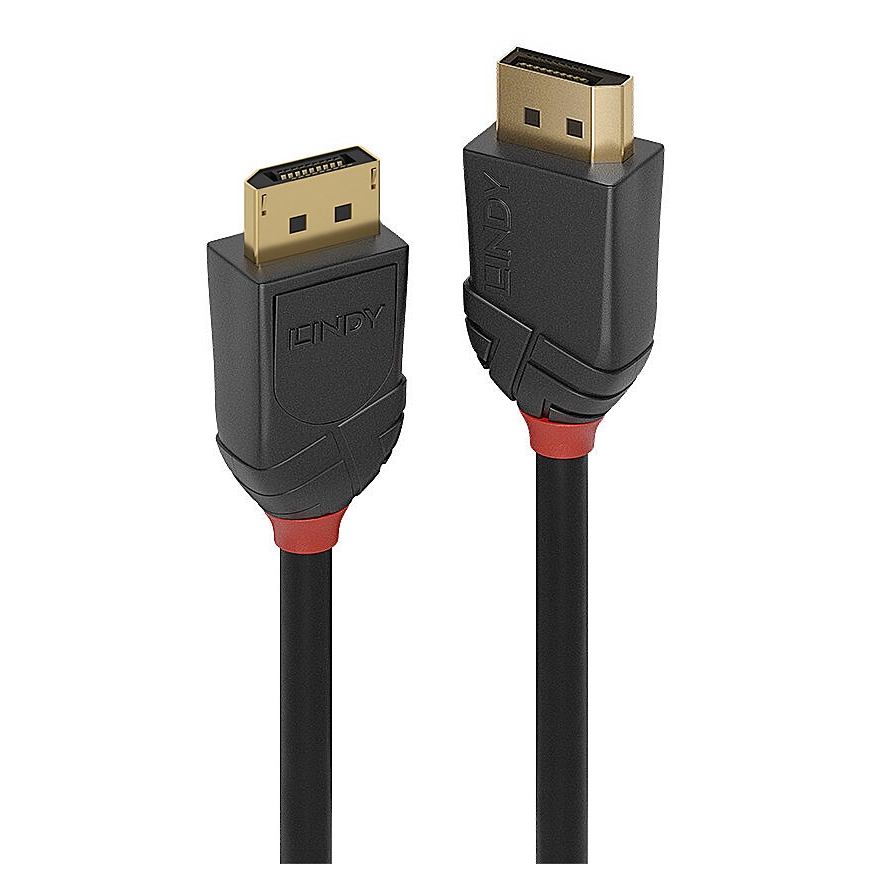 Lindy 36519 DisplayPort cable 5 m Black