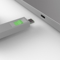 Lindy 40426 заглушка для порта Port blocker + key USB Type-C Зеленый 5 шт Lindy 40426 заглушка для порта Port blocker + key USB Type-C Зеленый 5 шт