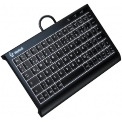 KeySonic KSK-3011ELC (DE) klaviatūra Namo USB QWERTZ Vokiečių Juoda
