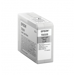 Epson T850900 rašalo kasetė 1 vnt Originalus Labai šviesiai juoda