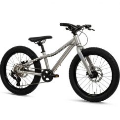 Batch jalgrattad 20" MTB HÕBEDANE