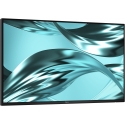 DELL Pro P P2426H WOST computer monitor 61 cm (24") 1920 x 1080 pixels Full HD LCD Black
