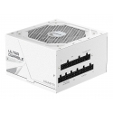 GIGABYTE UD850GM PG5 V2 ICE блок питания 850 W 20+4 pin ATX ATX Белый