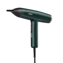 BaByliss Air Power Pro plaukų džiovintuvas 1700 W Auksas, Žalia