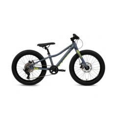 Batch Bicycles 20" MTB CHAMELEON