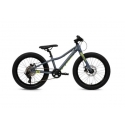 Batch Bicycles 20" MTB CHAMELEON
