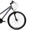 Bisan ATHENA V Mountain Bike Metallic Grey/Blue/Purple (Wheel Size: 29 Frame Size: 19)