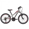 Vaikiškas dviratis Bisan BUFFALO Light Grey/Black/Red (Rato dydis: 24 Rėmo dydis: 12)