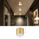 Immax NEO LITE RONDATES Smart Потолочный светильник золотой 16,5см 2592лм Tuya WiFi с поддержкой BEACON