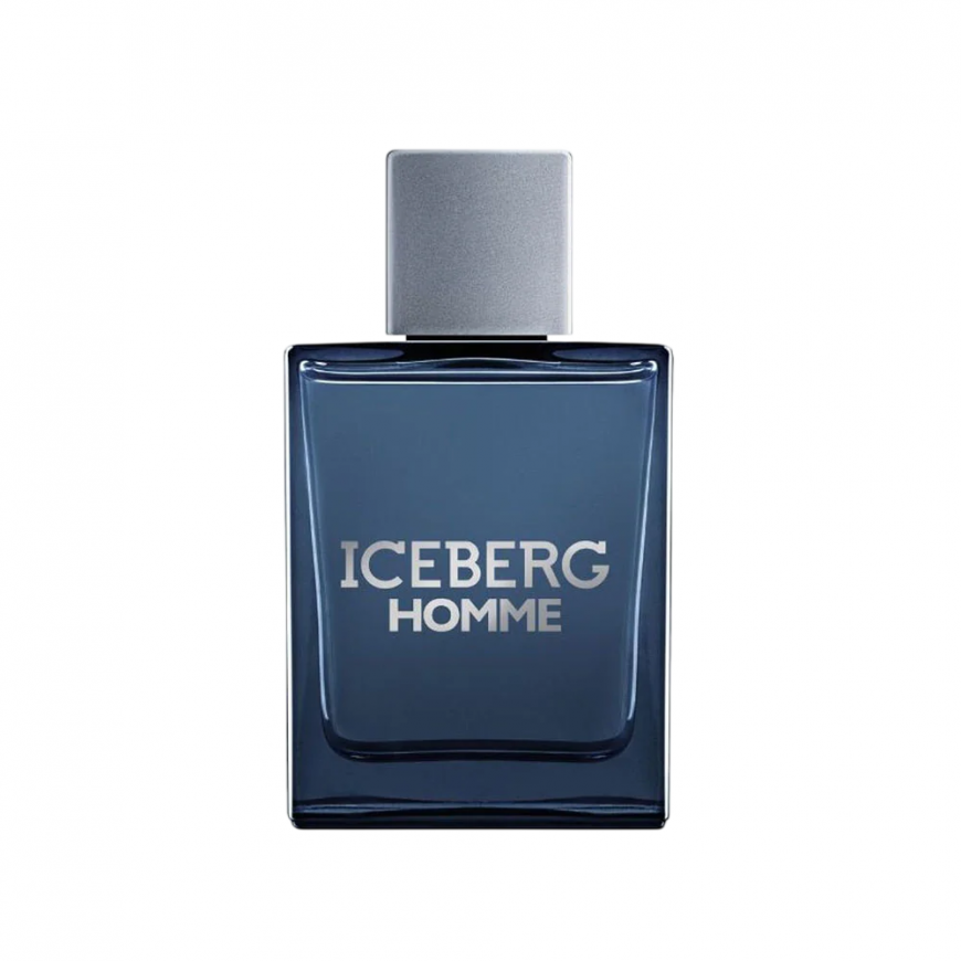 Iceberg, Homme, Eau De Toilette, For Men, 200 ml