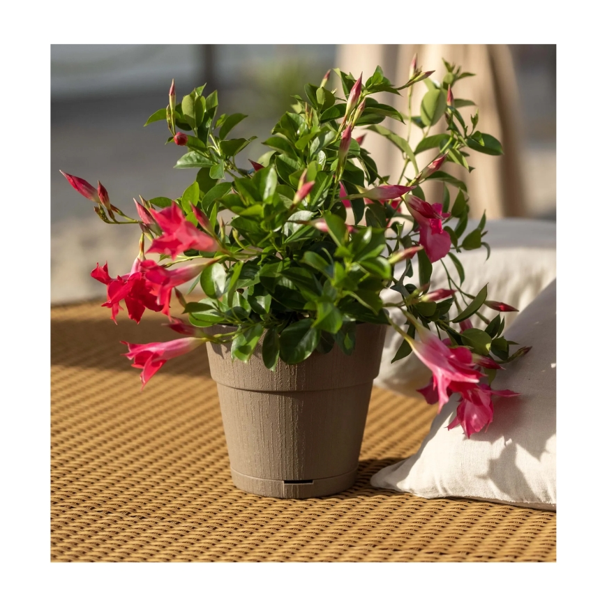 Lillepott alusega Ethica Ø20x19cm pruun – 2