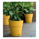 Flower pot with tray Ethica Ø20x19cm mustard yellow Flower pot with tray Ethica Ø20x19cm mustard yellow