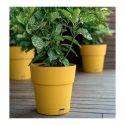 Flower pot with tray Ethica Ø15x15cm mustard yellow Flower pot with tray Ethica Ø15x15cm mustard yellow