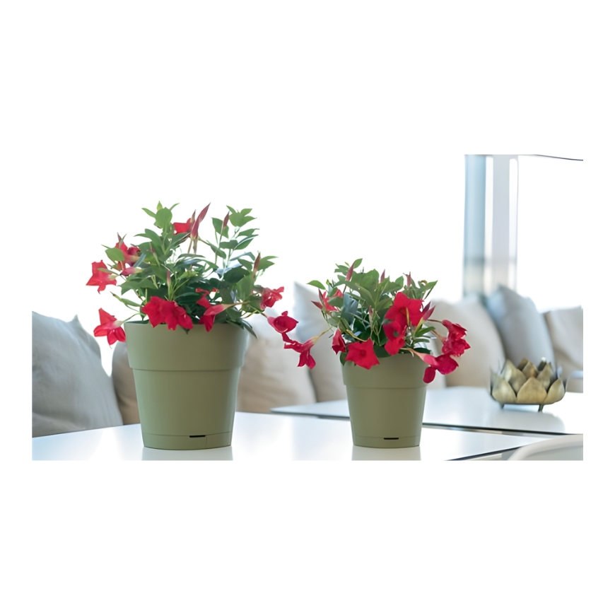 Gėlių vazonas su padėklu Ethica Ø40x39cm žalias – 2