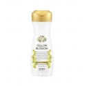 Daeng Gi Meo Ri Yellow Blossom Treatment Matu Kondicionieris 300ml Daeng Gi Meo Ri Yellow Blossom Treatment Matu Kondicionieris 300ml