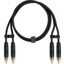 Fuj:tech 2 x RCA uros – 2 x RCA audiokaapeli, 2 m, musta Fuj:tech 2 x RCA uros – 2 x RCA audiokaapeli, 2 m, musta