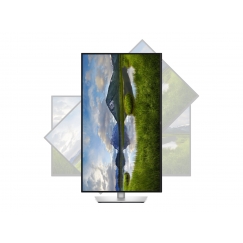 Dell P3225QE | 32 " | IPS | 4K UHD | 16:9 | 100 Hz | 5 ms |