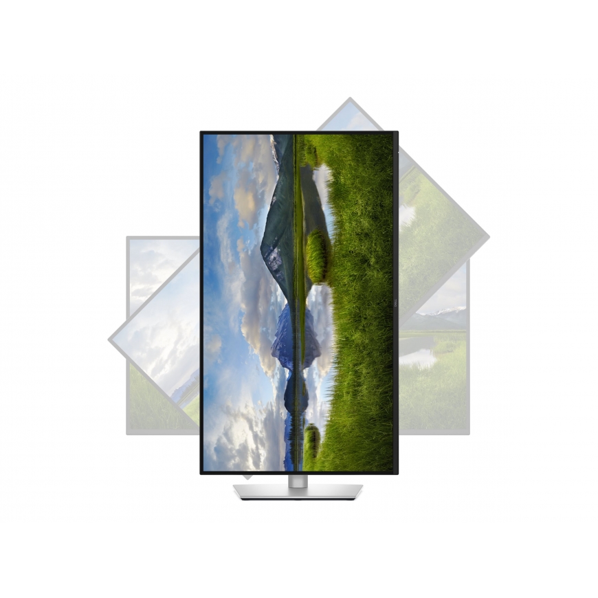 Dell P3225QE | 32 " |