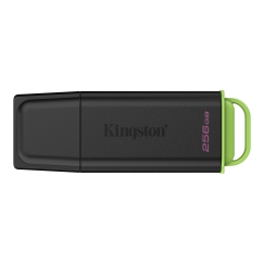 MEMORY DRIVE FLASH USB3.2/256GB DTXG2/256GB KINGSTON