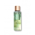 Victoria's Secret Pear Glace Body Lotion для женщин 236 ml Victoria's Secret Pear Glace Body Lotion для женщин 236 ml