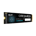 Silicon Power SP P34A60 | 128 GB | Solid-state drive interface