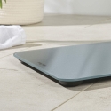 Salter SA00600GCFEU12 Brushed Finish Electronic Scale
