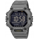 CASIO AE-1600H-8BVEF Мужские наручные часы / серый