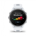 Garmin Forerunner 170 Music GPS-juoksuälykello, vaaleanharmaa