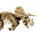 LEGO Jurassic World 77985 Dinosaurusfossiilit: Triceratops LEGO Jurassic World 77985 Dinosaurusfossiilit: Triceratops