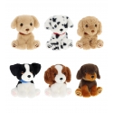 Keel Toys Keeleco Puppy Love kutsikad, 14 cm - 6 erinevat Keel Toys Keeleco Puppy Love kutsikad, 14 cm - 6 erinevat