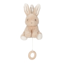 Little Dutch Baby Bunny music box Little Dutch Baby Bunny music box