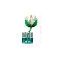 LEGO Botanicals Vandens lelijos