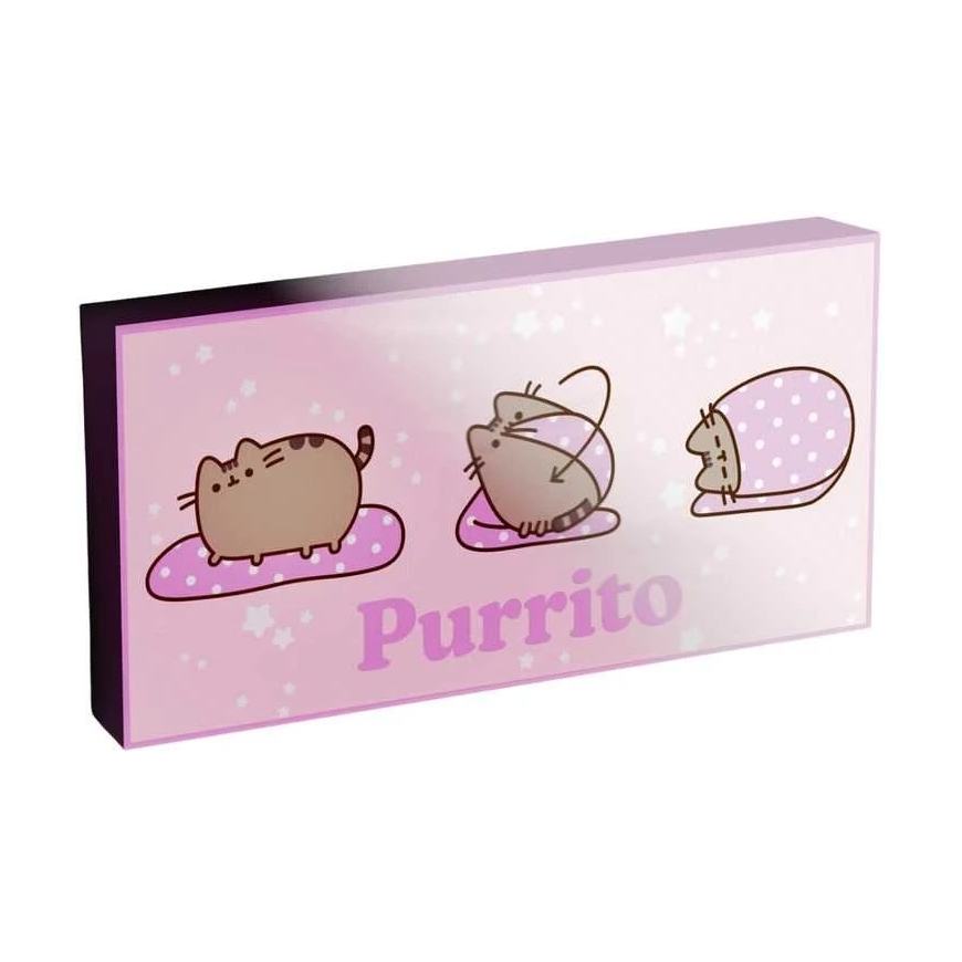 Pyramid Pusheen valoa canvas