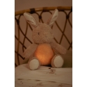 Little Dutch Pupu ночник с музыкой Little Dutch Pupu ночник с музыкой