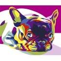 Beldizart Wizard painting by numbers. French Bulldog 16.5x13 cm MINI017