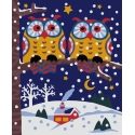 Beldizart Wizardi tapybos pagal numerius rinkinys. Pelėdos 13x16 cm MINI055 Beldizart Wizardi tapybos pagal numerius rinkinys. Pelėdos 13x16 cm MINI055