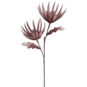 Eurofirany KW/FLORE/848/PUD PUDE Eurofirany KW/FLORE/848/PUD PUDE