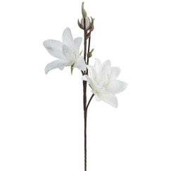 Eurofirany KW/FLORE/857/B B