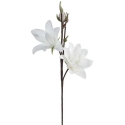 Eurofirany KW/FLORE/857/B B Eurofirany KW/FLORE/857/B B