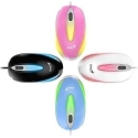 Genius Hiiri DX-Mini, 1000DPI, optinen, 3 painiketta, USB-kaapelilla, musta, klassinen, RGB-valaistus Genius Hiiri DX-Mini, 1000DPI, optinen, 3 painiketta, USB-kaapelilla, musta, klassinen, RGB-valaistus