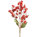 Eurofirany KW/FLORE/867/JUN Raudonas Eurofirany KW/FLORE/867/JUN Raudonas