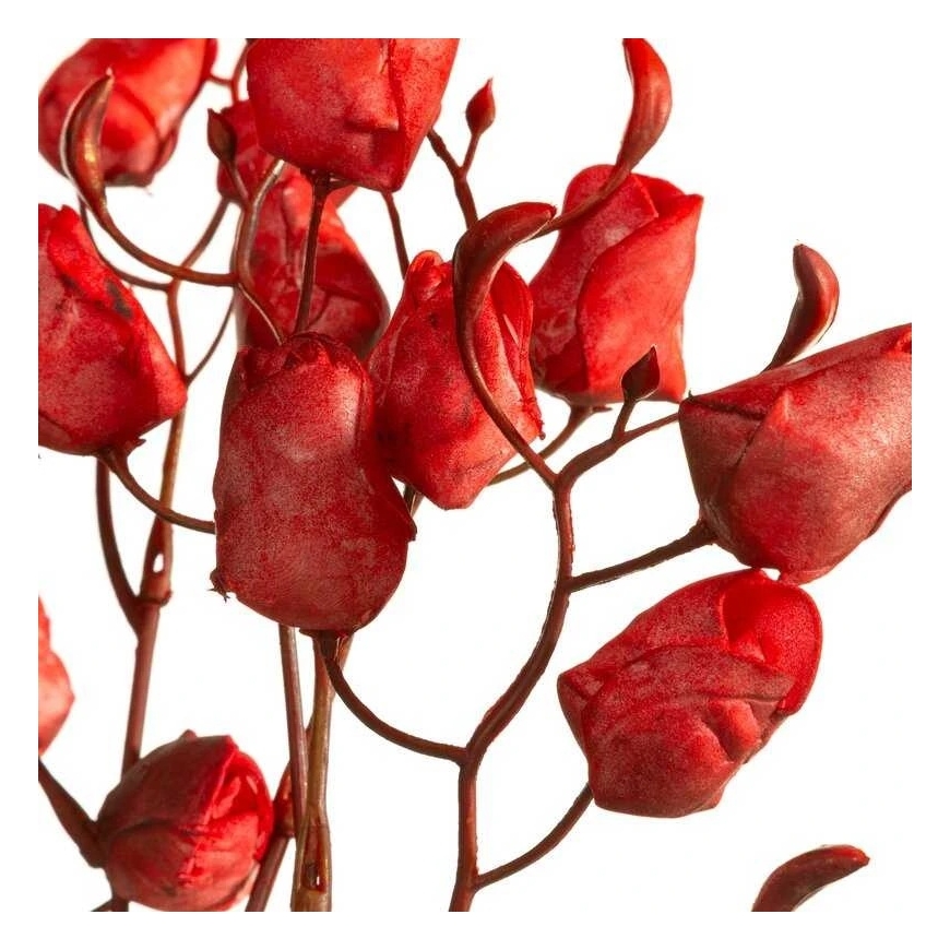 Eurofirany KW/FLORE/867/JUN Red – 2