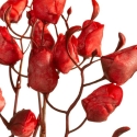 Eurofirany KW/FLORE/867/JUN Raudonas Eurofirany KW/FLORE/867/JUN Raudonas