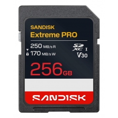 MÄLU SDXC 256GB UHS-1/SDSDXXJ-256G-GSCIN SANDISK