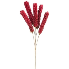Eurofirany KW/FLORE/849/BOR stalas