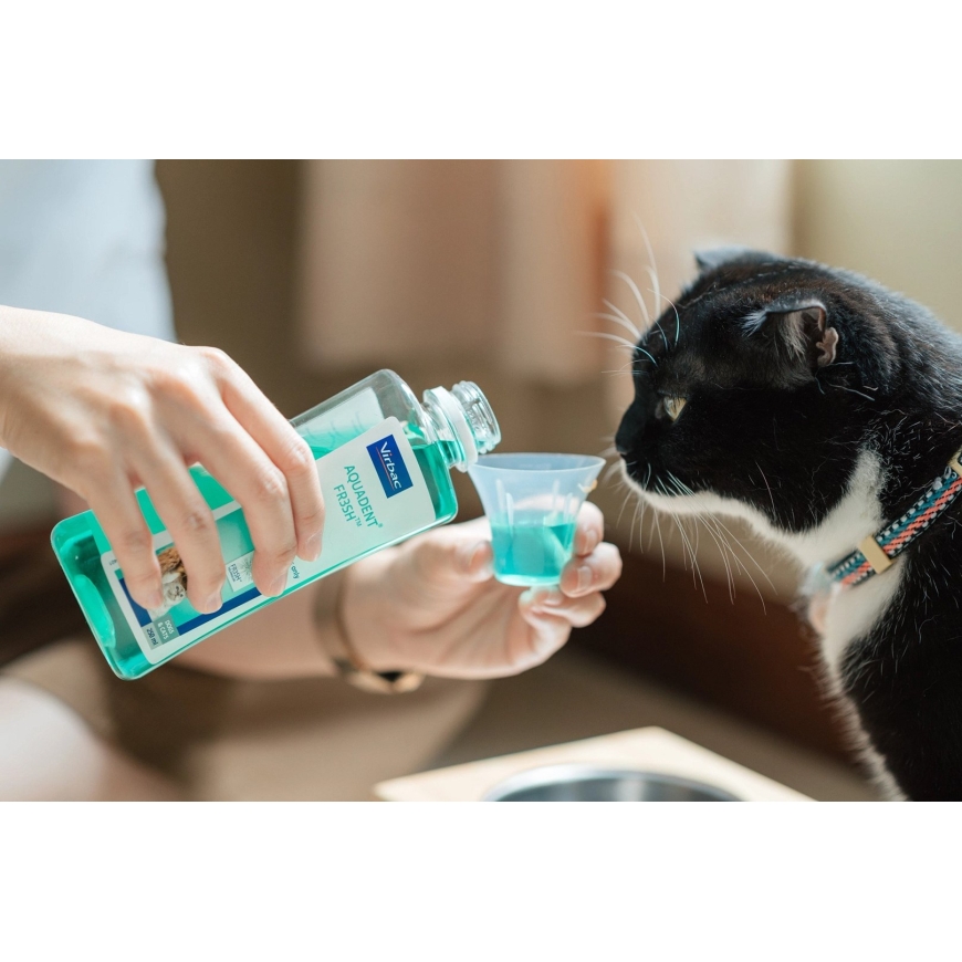 VIRBAC Vet Aquadent FR3SH - suuhygieniaratkaisu koirille ja kissoille – 500 ml – 2