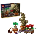 LEGO HARRY POTTER 76474 Hogsmeade botāniskā dārza augi LEGO HARRY POTTER 76474 Hogsmeade botāniskā dārza augi