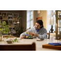 LEGO Botanicals 11505 - Грибы леса LEGO Botanicals 11505 - Грибы леса